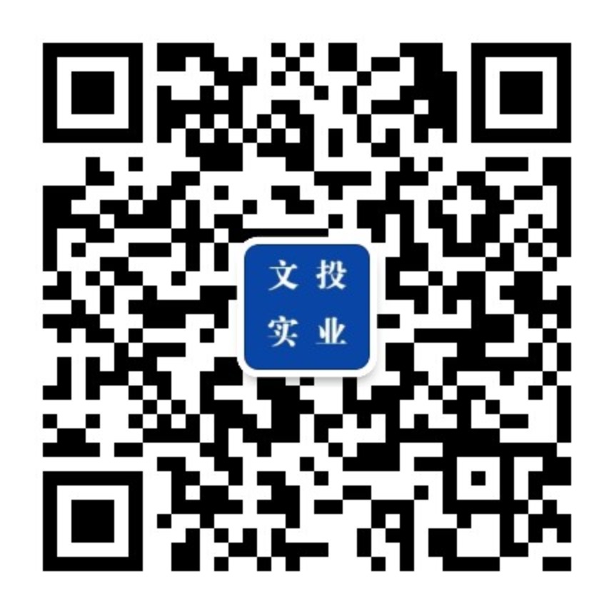 文投实业